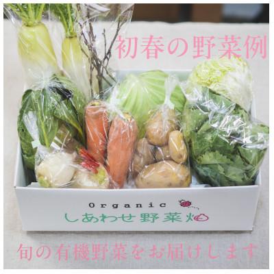 ふるさと納税 掛川市 【毎月定期便】オーガニックビレッジ・有機農業の会・有機野菜セット(Lセット)全12回