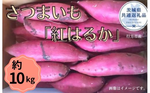 【2025年産】さつまいも「紅はるか」約10kg（茨城県共通返礼品／行方市産）