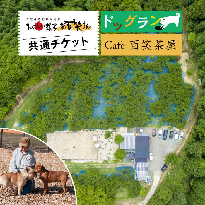 【ふるさと納税】Cafe 百笑茶屋＆ドッグランで使える共通 チケット /お百笑さん [UAZ002] ドッグラン 利用券 カフェ ランチ 食事券 チケット