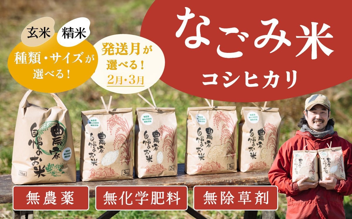 
                  【 種類・容量・発送月が選べる！ 】 茨城県下妻市産 なごみ米（ コシヒカリ ）〔 精米 / 玄米 〕 〔2kg ～ 5kg 〕〔 2月 3月 〕 【 お米 コシヒカリ 米 無農薬 無化学肥料 無除草剤 精米 自然 農法 茨城県産 】
                