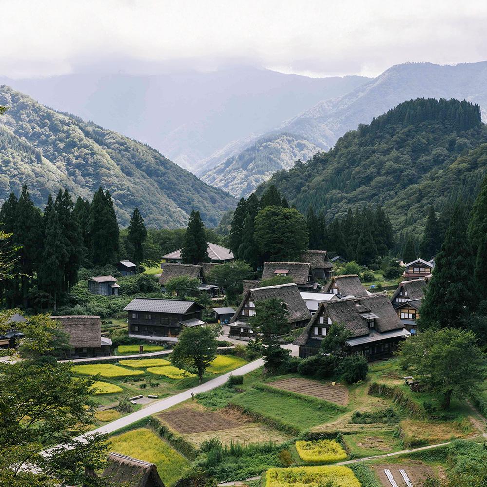 【ふるさと納税】1組だけのプライベート「五箇山合掌造りステイ＆伝統芸能こきりこ鑑賞」 宿泊プラン 1泊2食付き 4名様までご利用可能 | 富山県 南砺市 南砺 トラベル 宿泊 予約 貸し切り 旅行