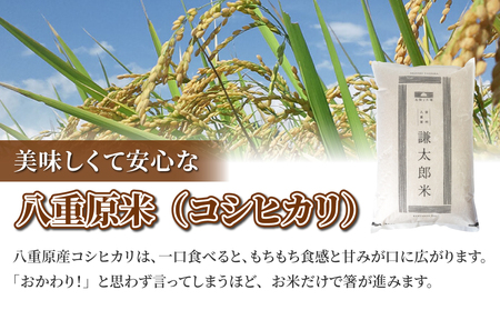 【太陽と大地】八重原産特別栽培米（減農薬・減化学肥料栽培）コシヒカリ白米1.2kg