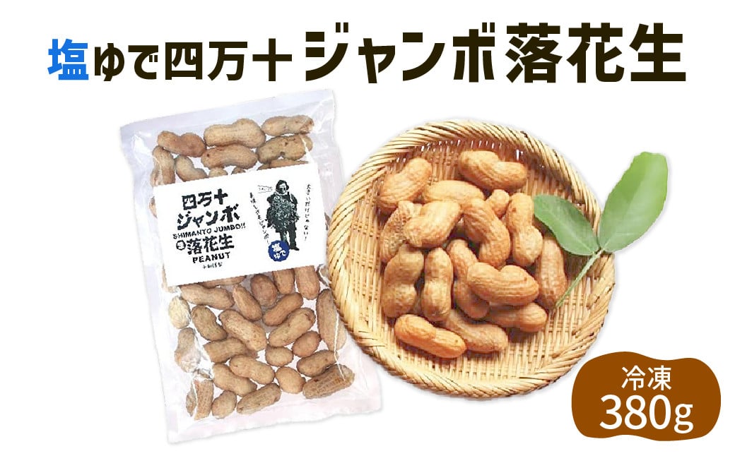 
            2024新豆　塩ゆで四万十ジャンボ落花生380g1個　こだわりの無農薬栽培！大きいだけじゃない！美味しさもジャンボ！Fsy-11 ピーナッツ ピーナツ ジャンボピーナッツ おつまみ ビールのお供 国産 豆 
          