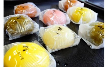 あん入り醤油餅・すや醤油餅 計10個セット 和菓子 もち菓子 和菓子 ギフト 和菓子 冷凍保存可能 和菓子 和スイーツ 和菓子 おやつ 愛媛県 松山市【SH003_x】