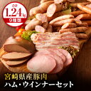 【ふるさと納税】宮崎県産豚肉ハム・ウインナーセット (合計1.24kg 9種類) ウインナー ポークフランク ベジタブル ひむかウインナー スモーク レバー ボンレスハム スライス ベーコン 肉加工品 肉 豚肉 贈答 贈り物 ギフト プレゼント グルメ 宮崎県 宮崎市 送料無料