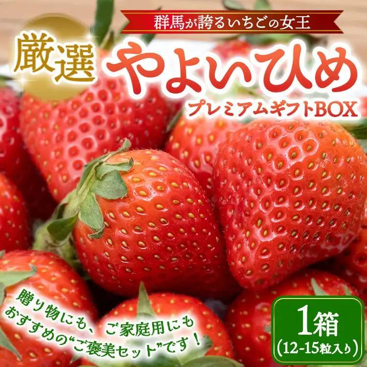 厳選 やよいひめ プレミアムギフトBOX 1箱 （12～2月発送） | いちご 大粒 高糖度 果物 フルーツ 苺 イチゴ くだもの 新鮮 朝採れ 朝どれ ギフト プレゼント 贈り物 国産 群馬県 伊勢崎市 ※2026年12月～発送