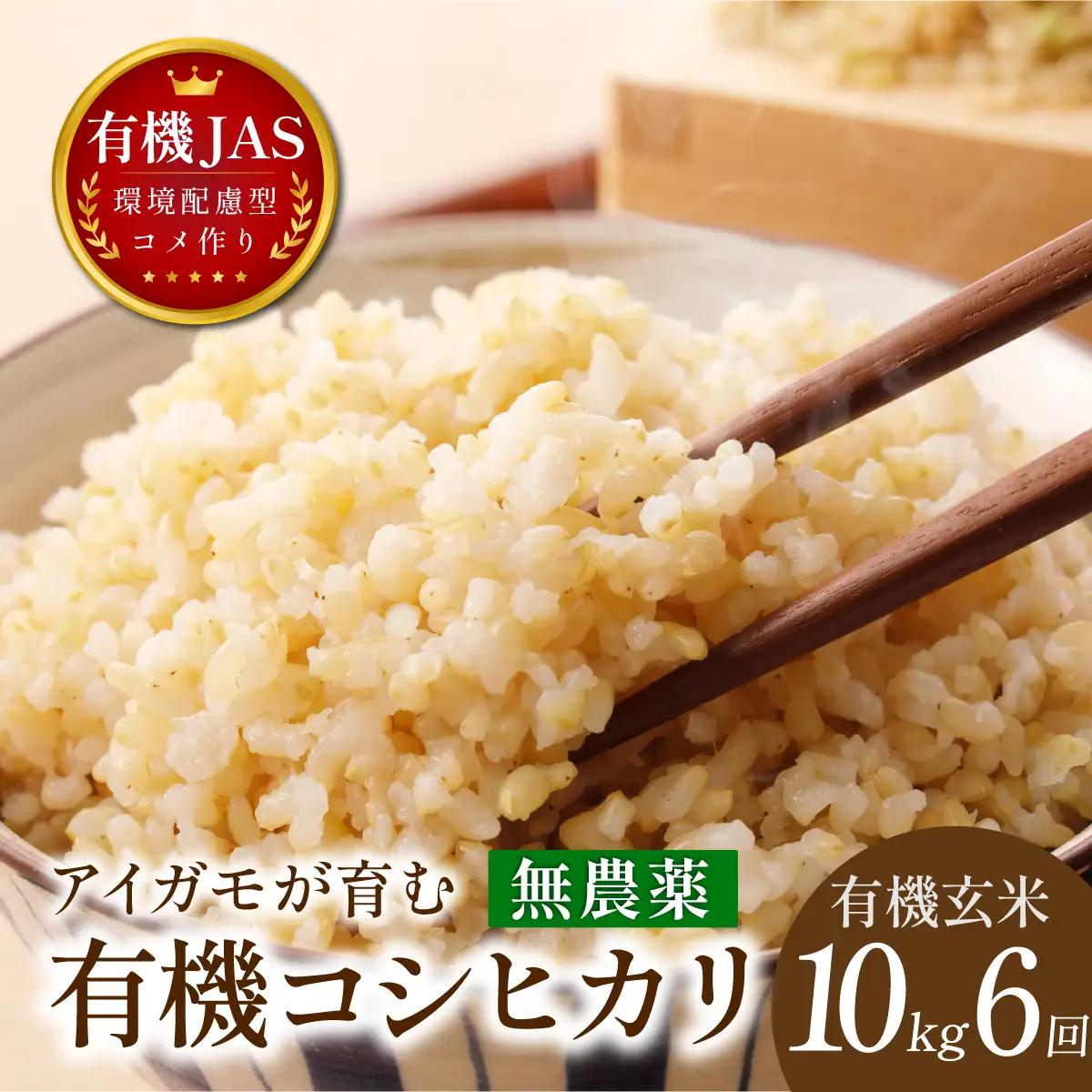 有機米【定期便】新米 無農薬コシヒカリ 玄米 ( 10kg×6回 計60kg ） 有機米