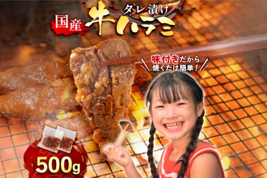 
                  牛肉 焼肉 国産 特製たれ漬 牛ハラミ サガリ 500g [宇美ホルモン 福岡県 宇美町 um40azp100003] ハラミ はらみ 牛はらみ 小分け 個包装 牛 肉 焼き肉 ホルモン タレ漬け たれ漬け
                