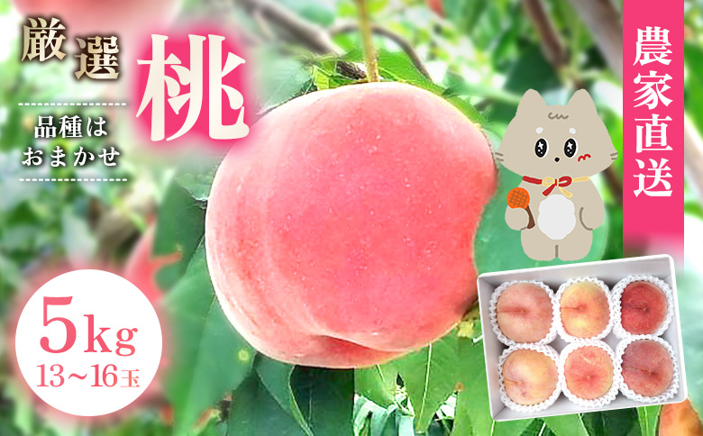 【先行予約】《7月中旬～9月中旬出荷》桃13玉～16玉（約5kg）　もも品種おまかせ　あかつき　白桃　黄金桃　黄貴妃　きららのきわみ【48005】