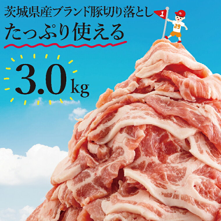 【ふるさと納税】数量限定 リピーター続出！茨城県産ブランド豚切り落とし3kg (300g×10p)肉 豚肉 切り落とし こま切れ 小分け 訳あり 真空 真空パック 冷凍 国産 茨城県産 産地直送 肩ロース ウデ モモ バラ 高評価 人気 内田本店 茨城県 水戸市（EC-20）