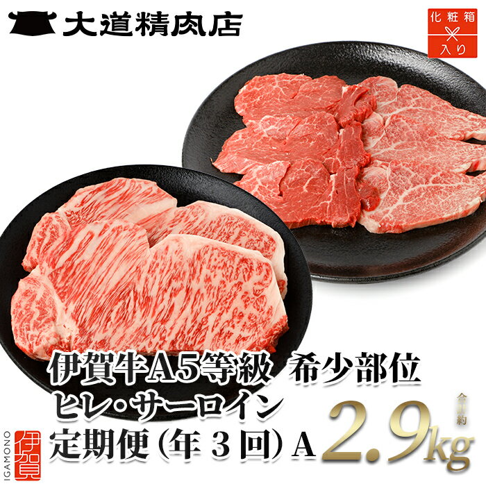 【ふるさと納税】 【年3回】伊賀牛 A5ヒレ・サーロイン 定期便A 総合計約2.9kg