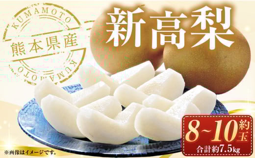 熊本県産新高梨 約7.5kg 【2025年10月上旬発送開始】 約8～10個 梨 なし ジャンボ梨