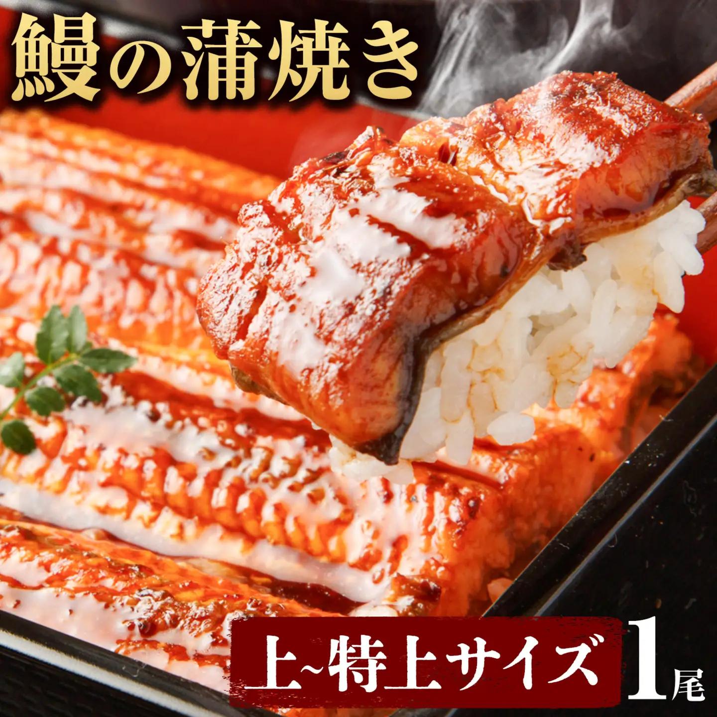  鰻の蒲焼き 徳島県産 徳島県産 うなぎの蒲焼き 1尾 タレ・山椒付