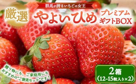 
                  【選べる発送時期】厳選 やよいひめ プレミアムギフトBOX 2箱 12～2月発送/3～4月発送 | いちご 大粒 高糖度 果物 フルーツ 苺 イチゴ くだもの 新鮮 朝採れ 朝どれ ギフト プレゼント 贈り物 国産 群馬県 伊勢崎市
                