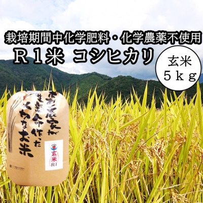 【栽培期間中化学肥料・化学農薬不使用】令和5年産R1米コシヒカリ5kg(玄米)