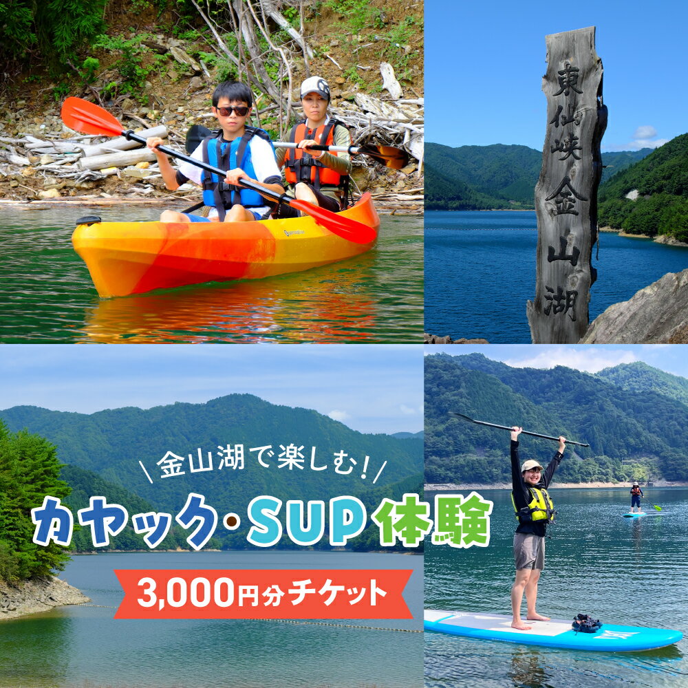 【ふるさと納税】【金山湖カヤック・SUP体験】体験で利用できるチケット（3,000円分） 下呂 岐阜県【DAiseN TouRs（ダイセンツア―ズ）】 観光 贈り物 贈答 ギフト 夫婦 家族旅行 卒業旅行 国内旅行 新婚旅行 3,000円