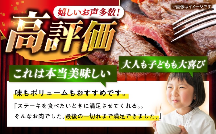 長崎和牛 サーロイン ステーキ 400g
