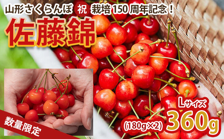 山形さくらんぼ (祝)栽培150周年記念！佐藤錦 360g（180g×2パック） L玉 数量限定！【令和8年産先行予約】FS25-061