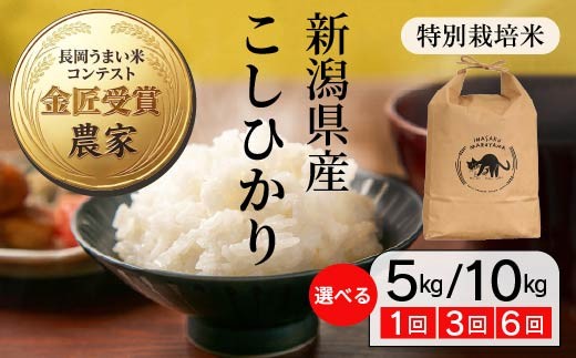 
                  新潟県長岡産 特別栽培米コシヒカリ 新米 令和8年産 先行予約 5kg 10kg 単品 定期便 3か月 6か月 3ヶ月 6ヶ月 稲作まる山 L4-8K
                