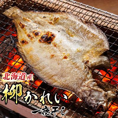 ふるさと納税 釧路町 北海道産　柳かれい一夜干し　1尾×3個セット