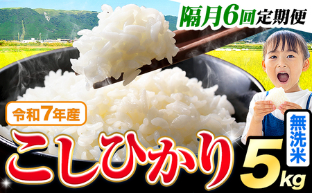 【隔月6回 定期便】無洗米こしひかり 5kg
