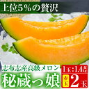 【ふるさと納税】【冬限定メロン】＜R6年11月下旬～12月末頃発送予定＞極上！鹿児島県志布志産の高級メロン『秘蔵っ娘』(赤玉2個・各1.4kg以上)国産の安心安全、美味しい高級フルーツのマスクメロン【ファームランド牧】b5-036 b5-068