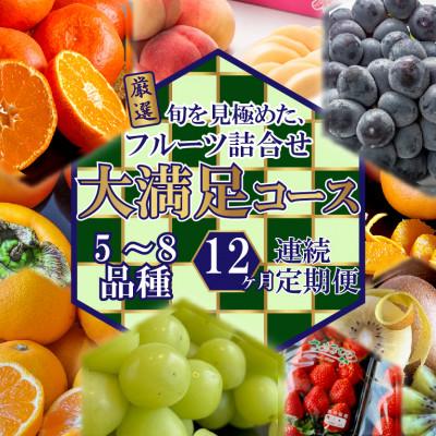 ふるさと納税 高松市 【毎月定期便】旬を見極めた厳選フルーツ詰合せ【大満足コース】(5〜8品種)全12回