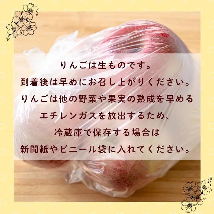 【先行予約丨2026年12月上旬より順次発送】サンふじ 小玉【約5kg(20〜25玉)】丨長野県 飯山市 直送  (At-034)