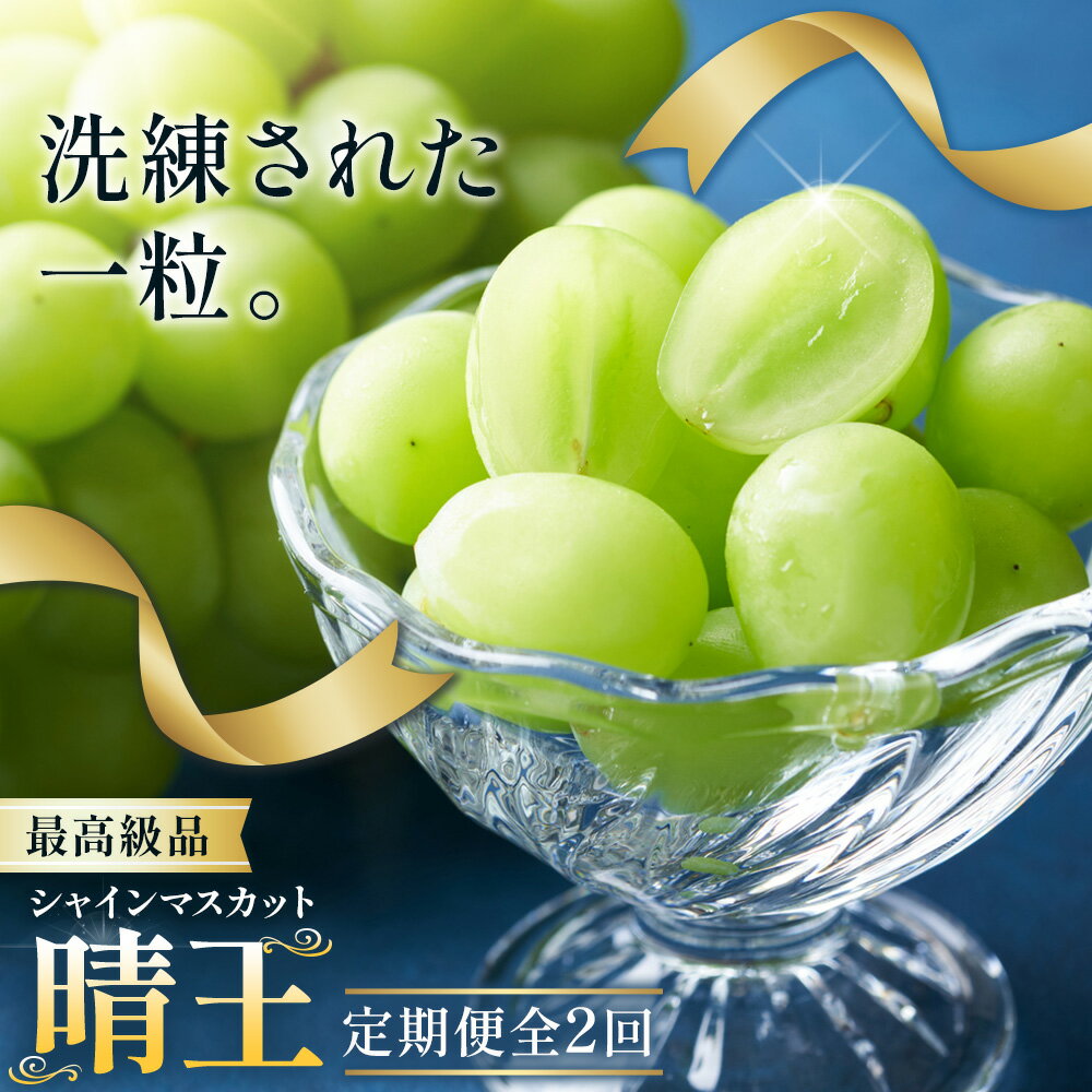 【2026年発送先行予約】【ふるさと納税】シャインマスカット 晴王 2ヶ月 定期便 1房 約650g 2房 約1.3kg 最高級品 シャイン マスカット《2026年9月中旬-10月中旬頃出荷予定》 晴レ乃青果(岡山中央卸売市場店(富士紙工有限会社)) 送料無料 岡山県 果物 【配送不可地域あり】