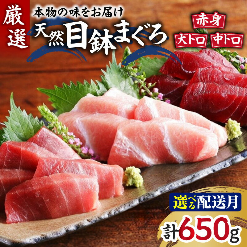 【ふるさと納税】＜選べる配送時期＞ 本物の味をお届け 厳選 天然三崎まぐろ 大トロ 中トロ 赤身 セット 650g まぐろ マグロ 鮪 メバチマグロ 三崎 三崎港 海鮮 魚 魚介 母の日 父の日 敬老の日 湊魚問屋 神奈川 三浦市 おすすめ ランキング プレゼント ギフト