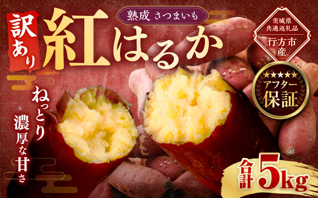 【 訳あり 】“熟成” 茨城県産 さつまいも 【 紅はるか 】 約5kg （茨城県共通返礼品・行方市産） 芋 いも サツマイモ 野菜 やさい 国産