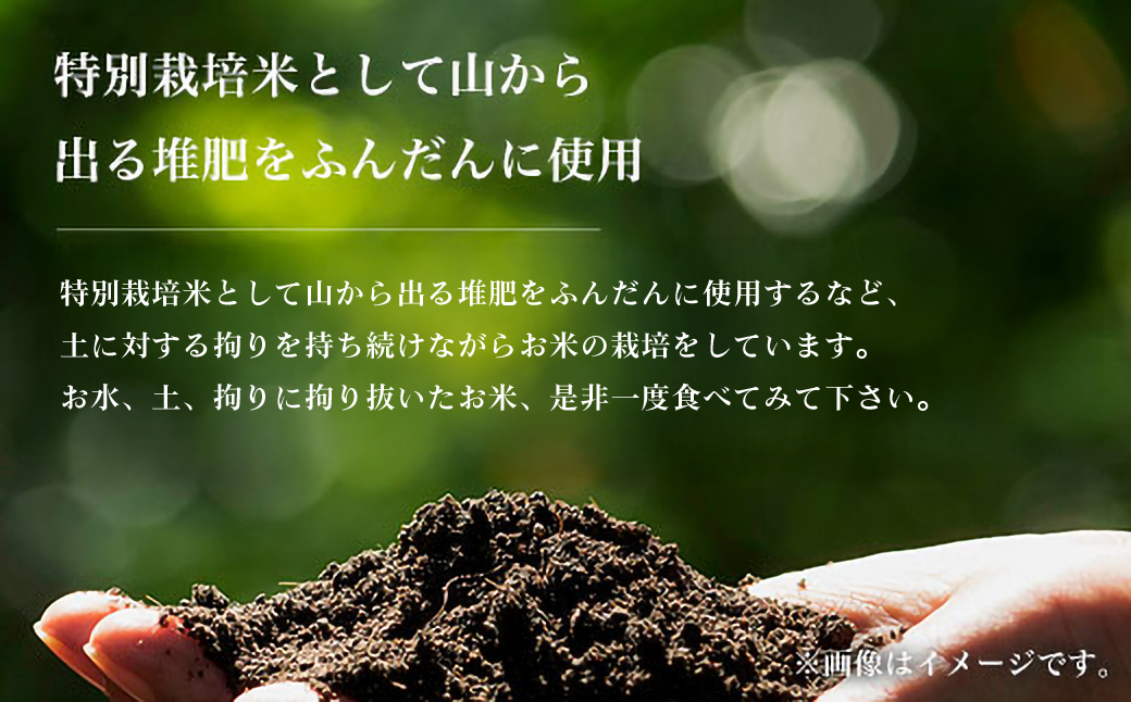 【令和6年産新米】京都丹波福知山産 はるまる農園のコシヒカリ 5kg×２ 合計10kg ／ ふるさと納税 精米 米 こめ ご飯 ごはん 白米 コシヒカリ こしひかり 特別栽培米 FCCN010