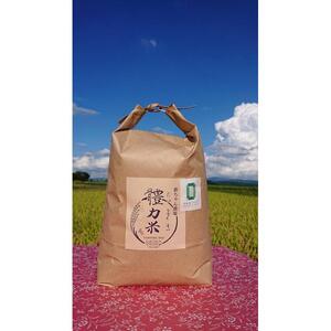 令和7年度産 體力米（たいりょくまい）コシヒカリ 白米 5kg ｜ 米  ブランド米 栃木県 大田原市　