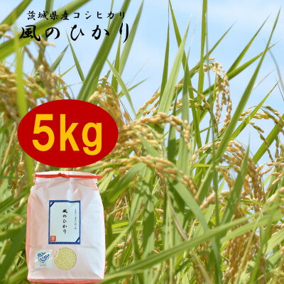 【ふるさと納税】茨城県産コシヒカリ風のひかり5kg【1342907】