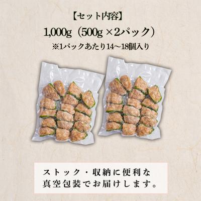 ふるさと納税 高原町 焼くだけ簡単 手作りの美味しさ宮崎県産素材のピーマンの肉詰め1kg TF823