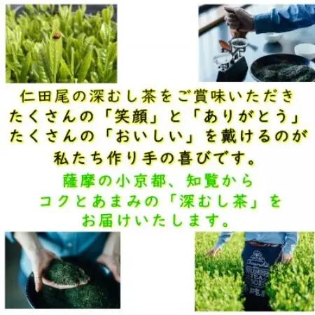 【自宅用】知覧茶園の深むし茶ティーバッグ「吟」3個セット【1748672】