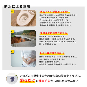 災害用トイレセット アートトワレ 50回 (非常用トイレや防災グッズ、防災トイレ)