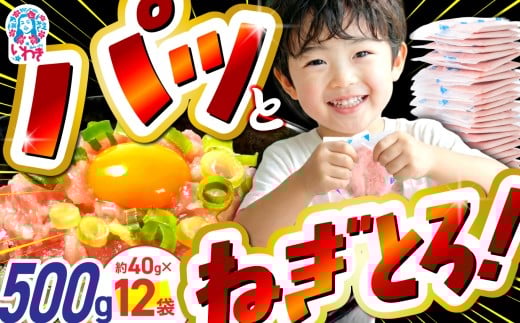 【2026年1月発送】ねぎとろ 約500g（約40g×12パック）小分け 冷凍 個包装 使い切りパック 1人前 まぐろたたき まぐろ