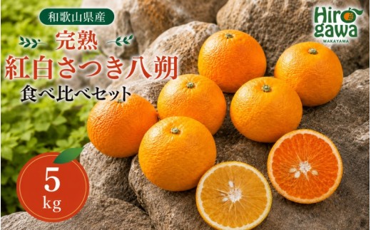 
                  完熟 紅白 さつき 八朔 食べ比べ セット 5kg 10000円 久幸園【hsk022-mix-5A】
                
