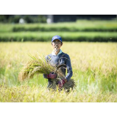 ふるさと納税 鬼北町 にこまる×ひめの凜(プレミアムクオリティ)各5kg(計10kg) |  | 01