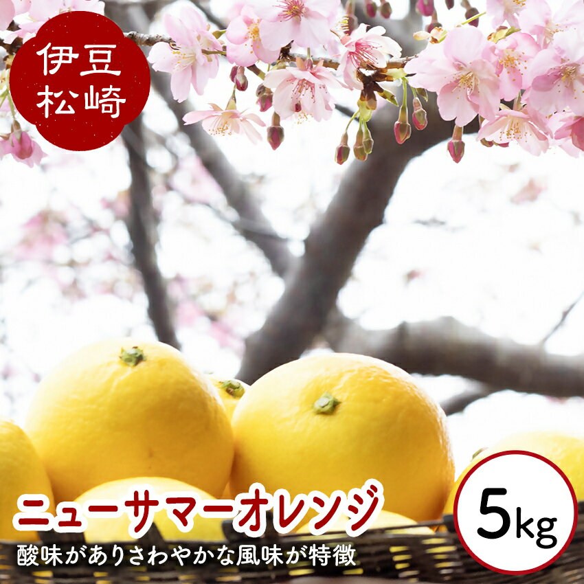 【ふるさと納税】婆娑羅農産 ニューサマーオレンジ 5kg 日向夏 小夏 オレンジ みかん 伊豆 お取り寄せ