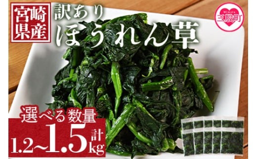 
            ＜選べる内容量【訳あり】冷凍ホウレンソウ 工場直送簡易包装 小分けパック＞ 【レビューキャンペーン】 冷凍野菜 カット野菜 小分け ホウレンソウ ストック 冷凍食品 時短 国産九州産 簡単 料理 調理 アレンジ 夕食 和食 和え物 お弁当 おかず 副菜 ほうれん草 【MI103-bk_oya】【ベーカリー梅茂登】
          