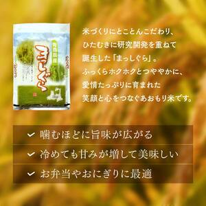 【コメ鑑定技術日本一の山金】 まっしぐら10kg （令和7年産） 白米 精米 F21U-243