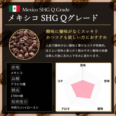 コーヒー豆 スペシャリティ Qグレード認証豆 メキシコ SHG 中煎り 1kg(500g×2)【1620928】