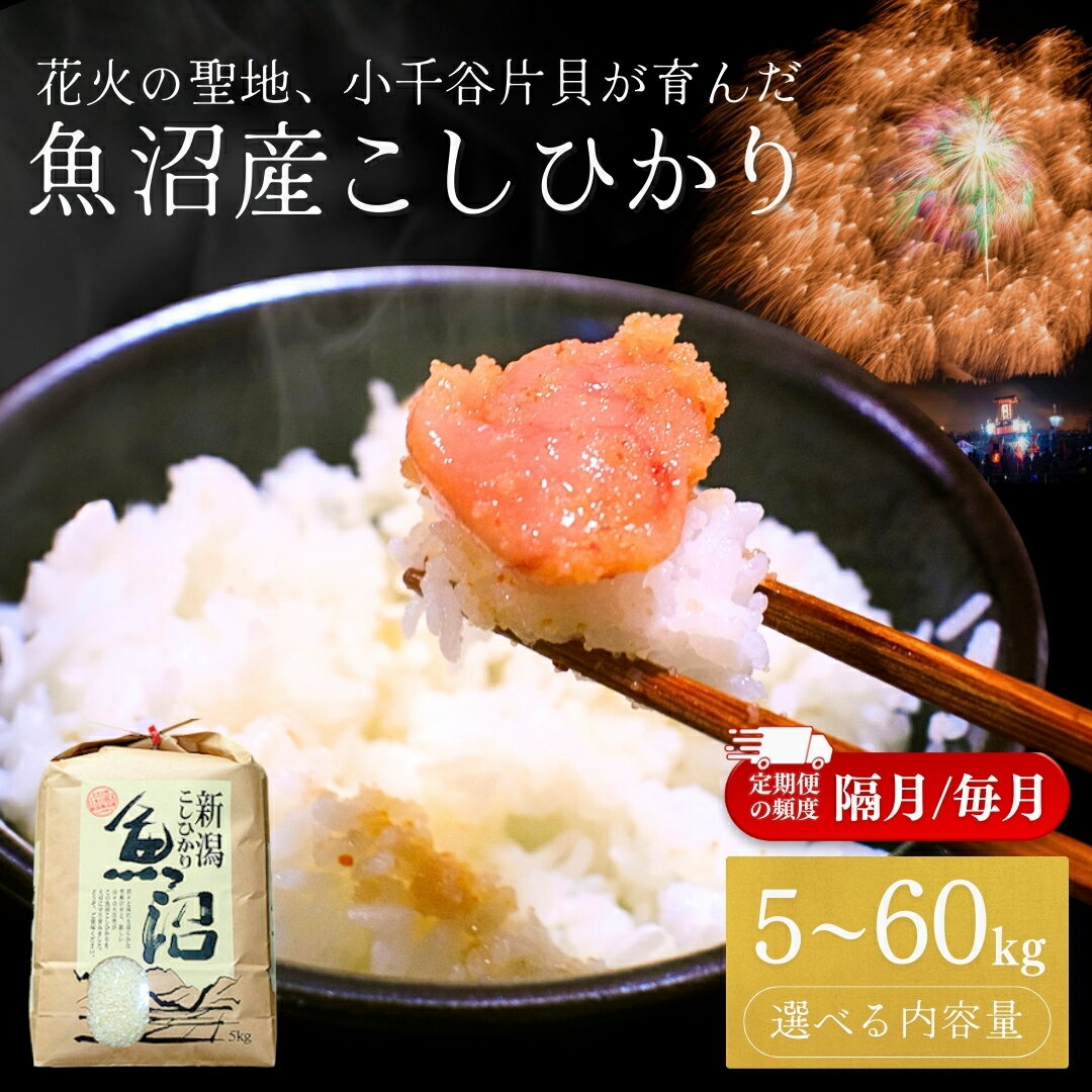 【ふるさと納税】 米 定期便 魚沼産コシヒカリ 令和7年産 5kg 10kg 選べる数量 回数 毎月 隔月 お米 白米 精米 新潟県産 こしひかり ブランド米 ギフト 贈答 小千谷 米萬商店 産地直送 【0002-km00sv00-02】