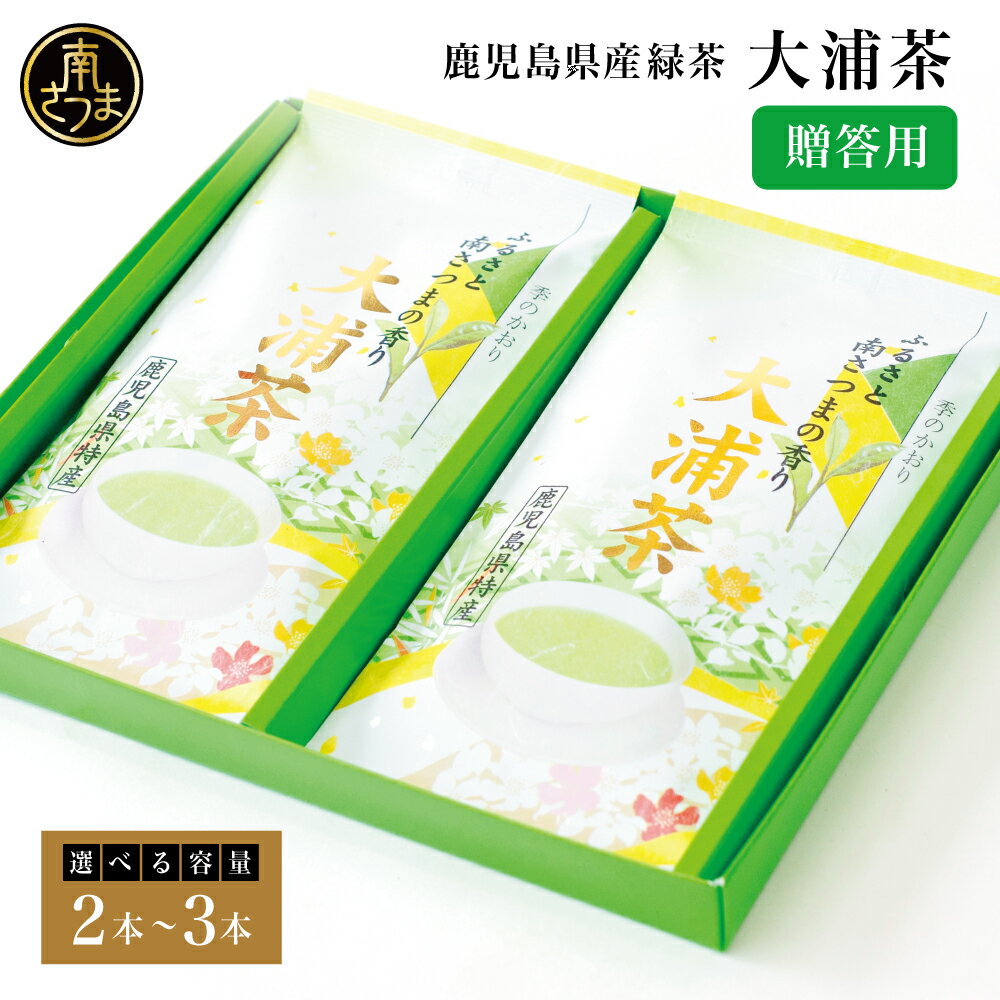 【ふるさと納税】★容量が選べる★ 鹿児島県産緑茶2本～3本セット 贈答用 国産 かごしま お茶 日本茶 鹿児島茶 緑茶 茶葉 冷茶 飲料 飲み物 旨味 コク 簡単 美味しい 減農薬 プレゼント 贈答 贈答品 贈り物 ギフト 鹿児島県 南さつま市 徳留茶農園