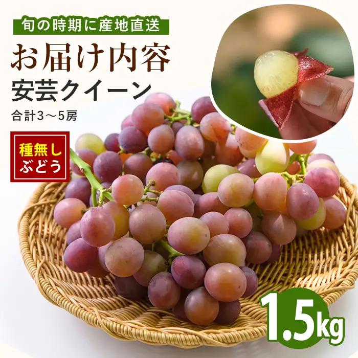 【2026年7月下旬〜発送】＜期間限定＞迫田果樹園のぶどう 安芸クイーン 約1.5kg (迫田果樹園/IB064-012)