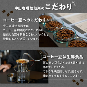 定期便2回(豆)中山珈琲焙煎所のスペシャルティコーヒー4種セット各100g全2回 コーヒー豆 まめ 珈琲 定期便 2回 コーヒーセット 詰合せ コーヒー飲み比べ 056-09-T2