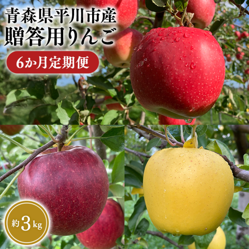 2026年8月下旬～発送　贈答用りんご 6か月定期便約3kg【なるみ農園・青森りんご・平川市産・定期便・数量限定】