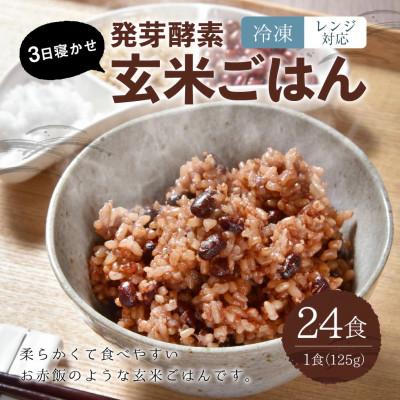 ふるさと納税 九重町 【冷凍】レンジ対応!3日寝かせ発芽酵素玄米ごはん「ひとめぼれ」24食分